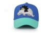 Picture of FlapJackKids Ball Cap - Dino Blue/Mint