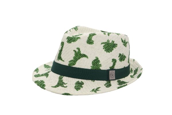 Picture of FlapJackKids Kids Fedora - Dinosaur